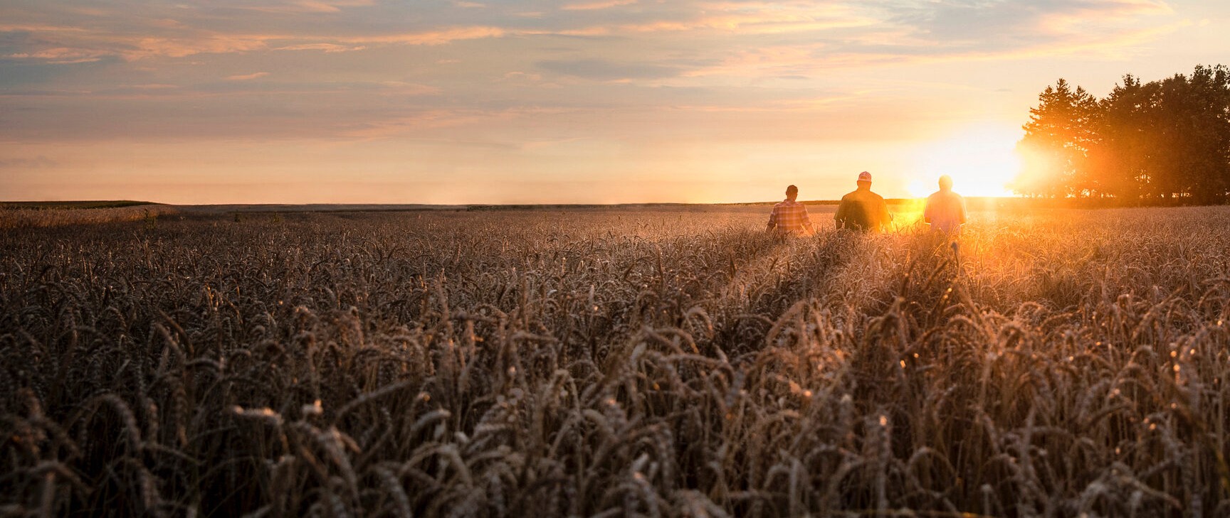 Working for farmers