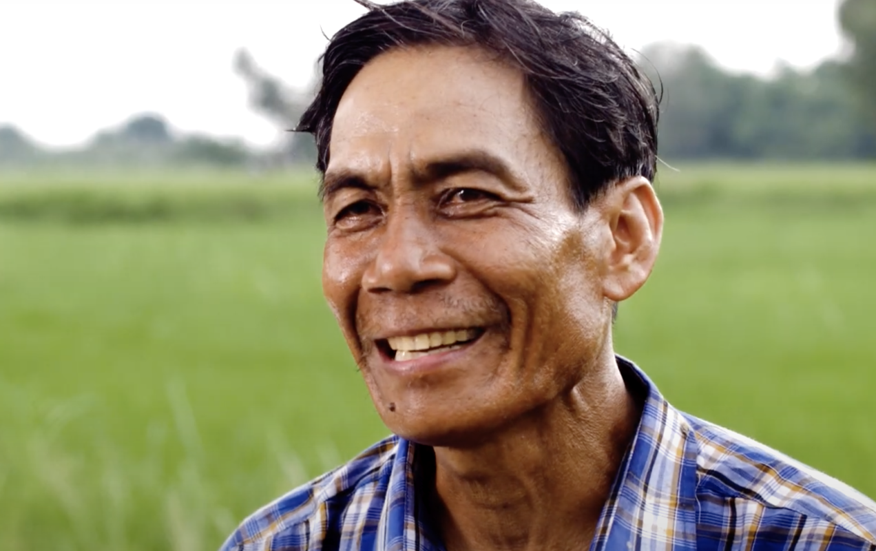 Healthier and more plentiful rice from Thailand